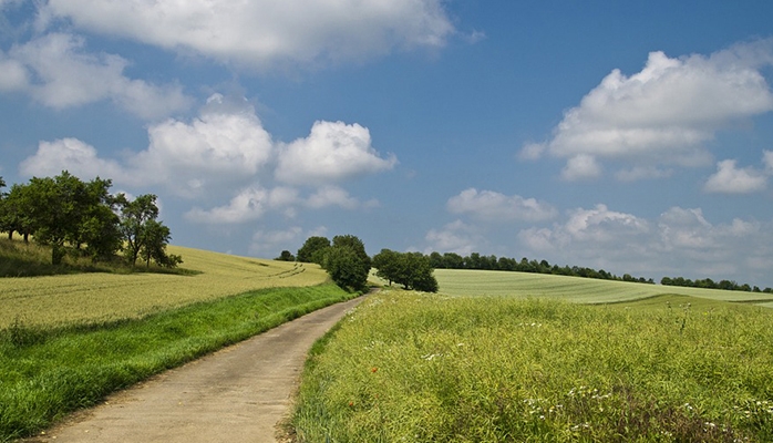 Chemin communal et prescription acquisitive d’une servitude de passage non équivoque Chemin communal et prescription acquisitive d’une servitude de passage non équivoque